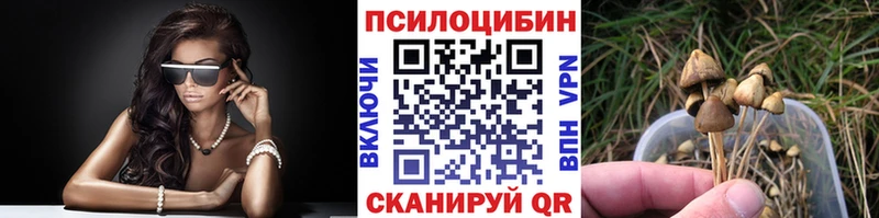 Галлюциногенные грибы MAGIC MUSHROOMS  Устюжна 